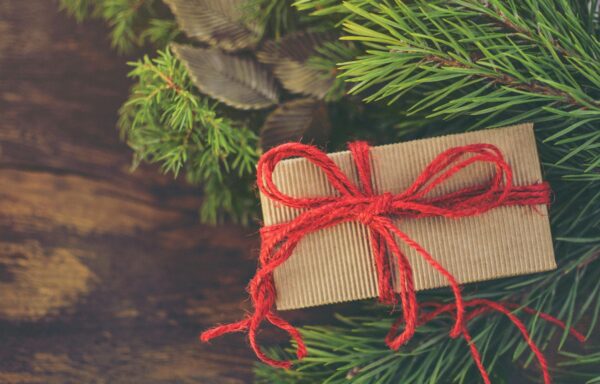 Dein Adventskalener mit zeremoniellem Cacao für eine Adventszeit voller Momente der Verbundenheit, Wärme, Fülle