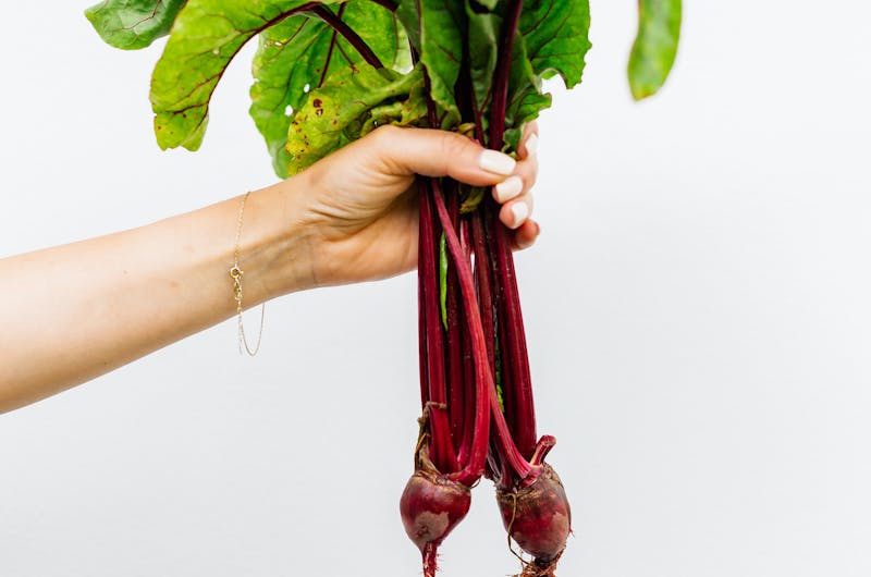 Rote-Wurzel Cacao Mondmilch