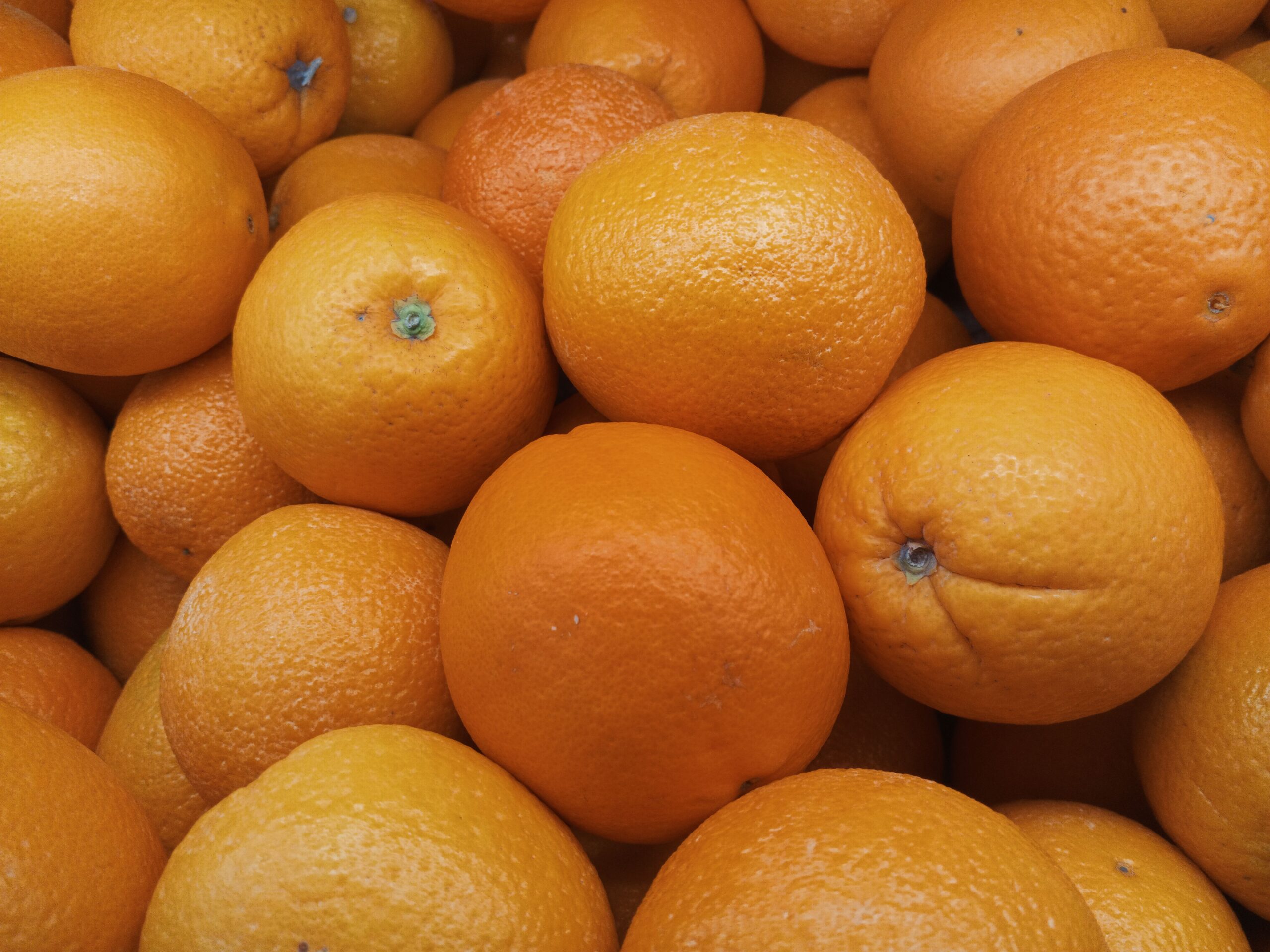 Energetic Orange Gewürzmischung – Bild 5