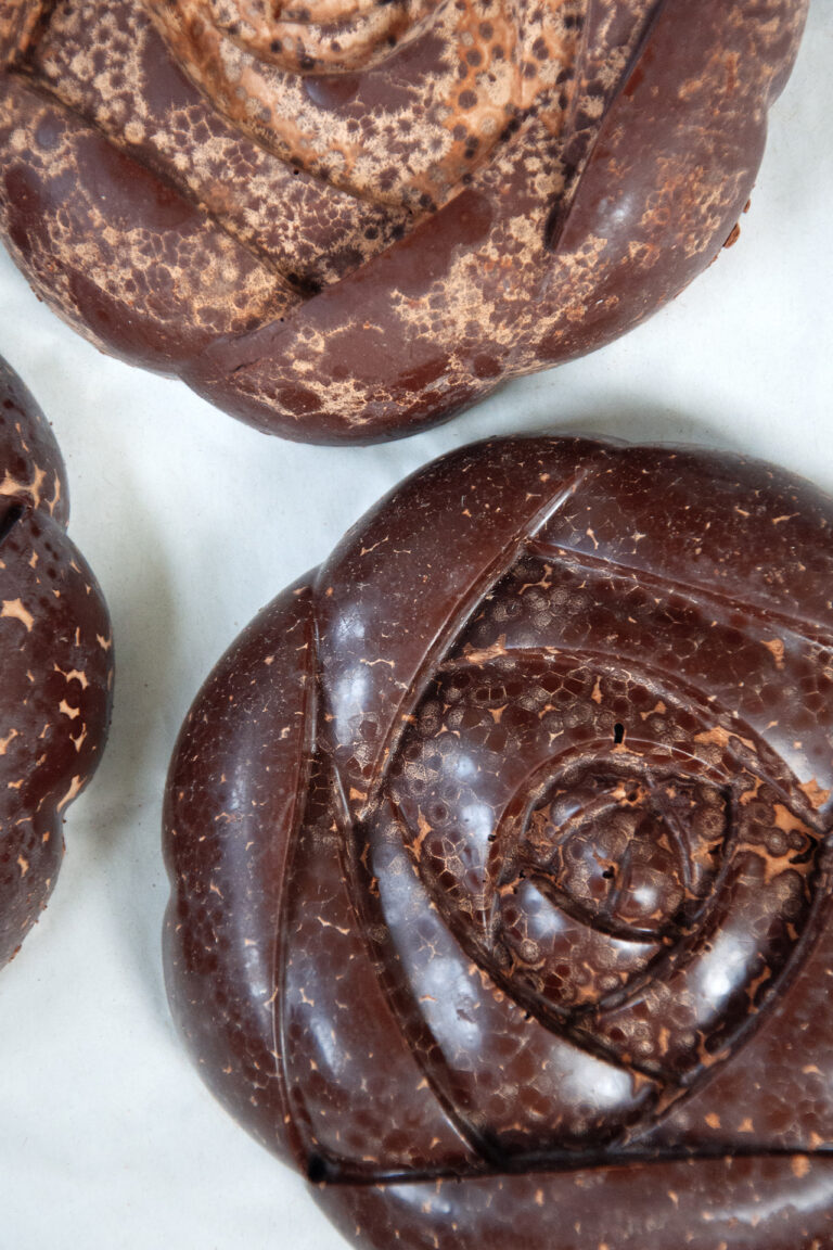 Cacao und Antioxidantien im Körper