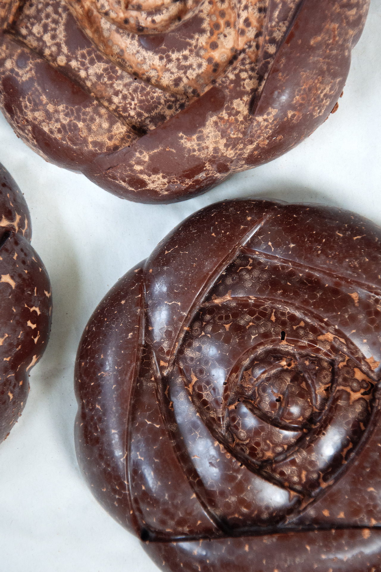 Cacao und Antioxidantien im Körper