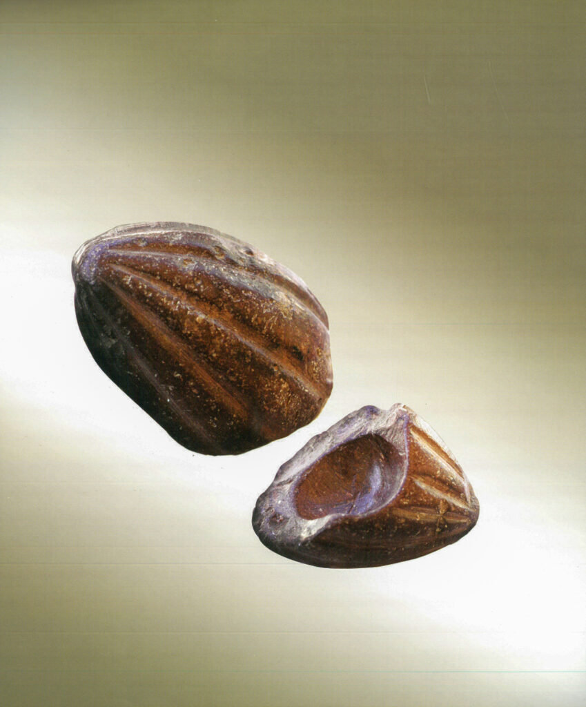 Der steinerne Mörser in Form einer Cacaoschote